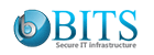 Bits Secure I.T Infrastructure LLC logo